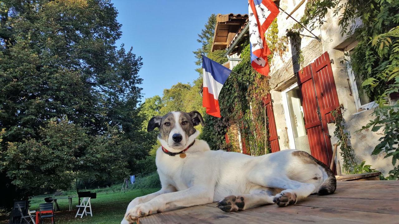 Le Moulin De Pensol - Gites Zewnętrze zdjęcie