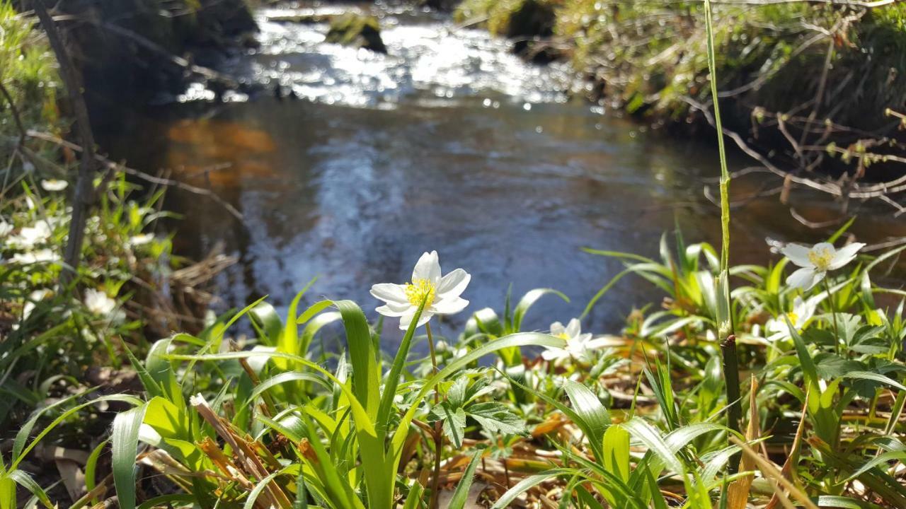 Le Moulin De Pensol - Gites Zewnętrze zdjęcie